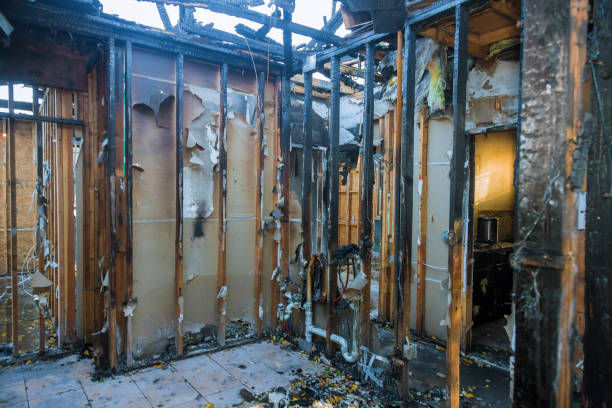 Professional Soot Cleanup technician working in Elmore, OH